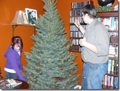 putting up the tree 003