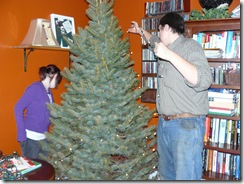 putting up the tree 004