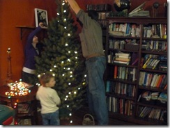 putting up the tree 012