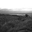 Hellfire Club, Environs