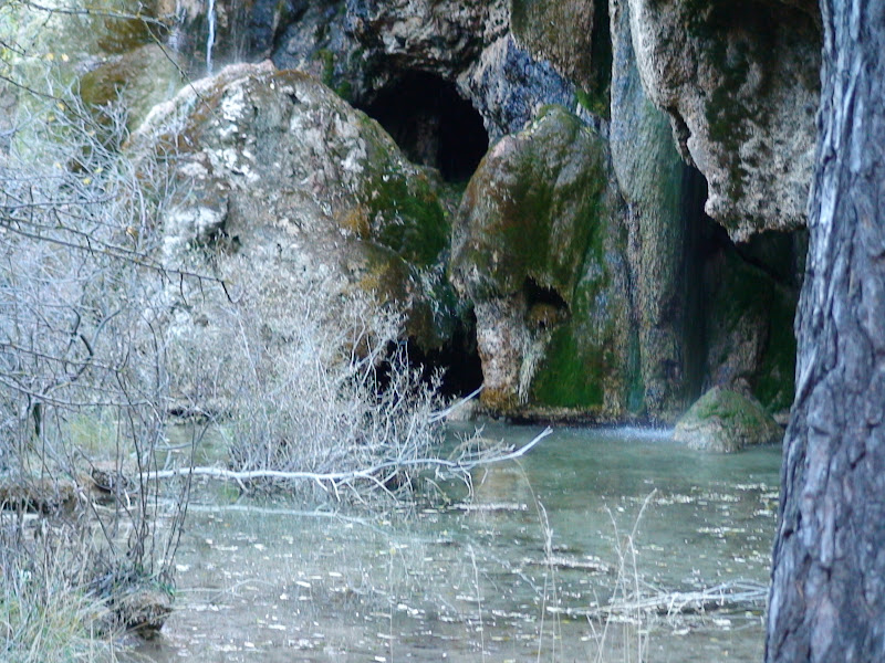 DSC00239.JPG