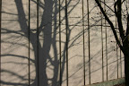 Shadows on Arts Lecture Hall
