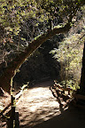Path in Muir Woods