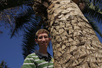 With a palm tree
