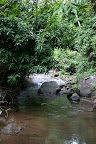Stream leading to Mt. Carmel, Grenada