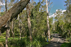Bike trail in Brighton Park