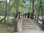 Sentinel Bridge
