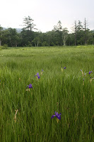 IMG_9843.JPG Photo