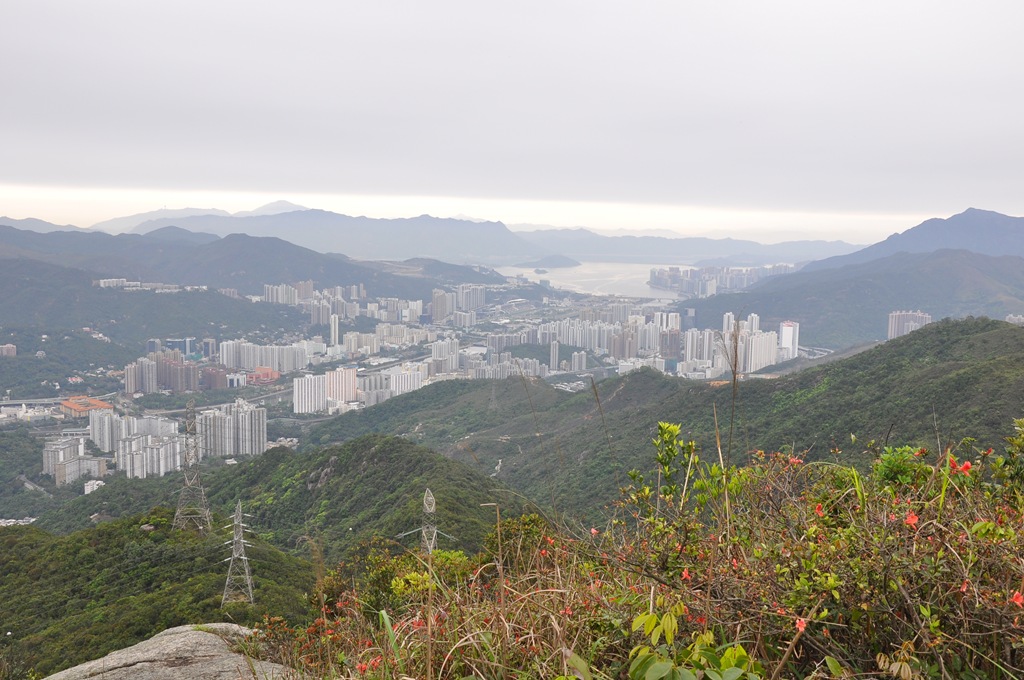 [DSC_0125[2].jpg]