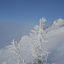 D20_0053.jpg