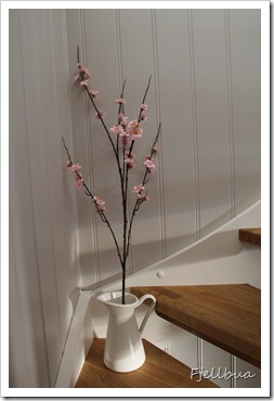 IMG_5556 IMG_5556
