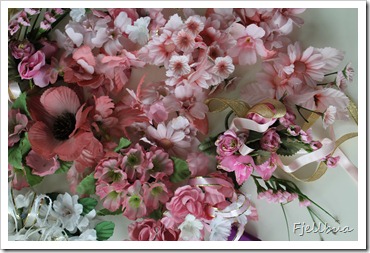 IMG_7046 IMG_7046