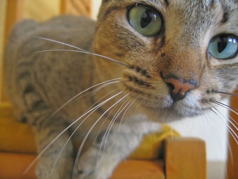 [Hello[20].jpg]