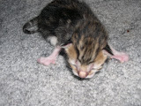 DSCN3268.JPG