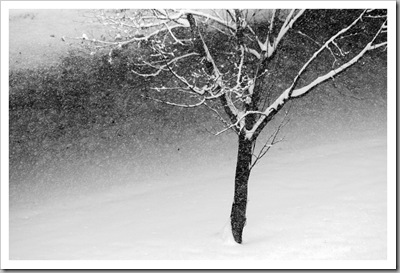 Egyedül - Óbuda, 2010 Egyedül - Óbuda, 2010
