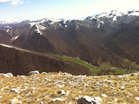 IMG_1084.JPG Photo