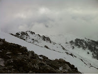 IMG_0896.JPG Photo