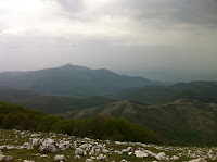 IMG_1114.JPG Photo