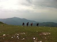 IMG_1115.JPG Photo