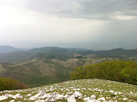 IMG_1113.JPG Photo