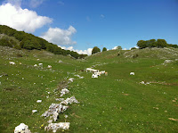 IMG_1170.JPG Photo