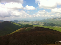 IMG_1183.JPG