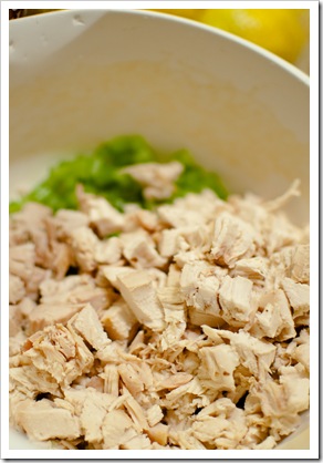 hotchickensalad3