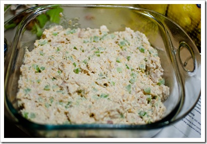 hotchickensalad5