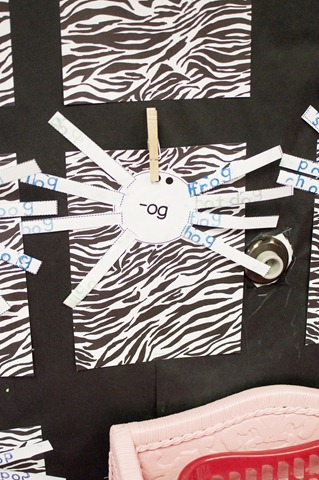 [1stgrade-spiders1[4].jpg]