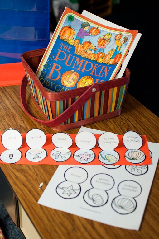 [pumpkinfun9[5].jpg]