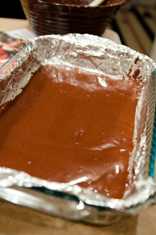 [symphonybrownies1[5].jpg]