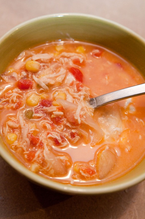 [chickentortillasoup4[5].jpg]