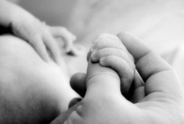 1111673_little_baby_hands_with_mom_and_dads_hands_3