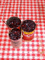 At the family cabin in the Blue Mountains we often pick huckleberries. Our family can haul in several gallons on a good day. They are like blueberries but smaller and much more pungent. Fresh huckleberries with brown sugar and cream is without question my favorite dish. At the family cabin in the Blue Mountains we often pick huckleberries. Our family can haul in several gallons on a good day. They are like blueberries but smaller and much more pungent. Fresh huckleberries with brown sugar and cream is without question my favorite dish.