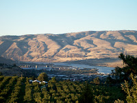 This is a typical view from my parent's porch in The Dalles, Oregon with cherry orchards, the town, the river and Washington's Cascade mountains on the other side. We moved to this house when I was about four years old. I took this picture when I was eighteen, the day before I left for a year as an exchange student in The Netherlands. This is a typical view from my parent's porch in The Dalles, Oregon with cherry orchards, the town, the river and Washington's Cascade mountains on the other side. We moved to this house when I was about four years old. I took this picture when I was eighteen, the day before I left for a year as an exchange student in The Netherlands.