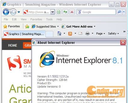 IE 8.1