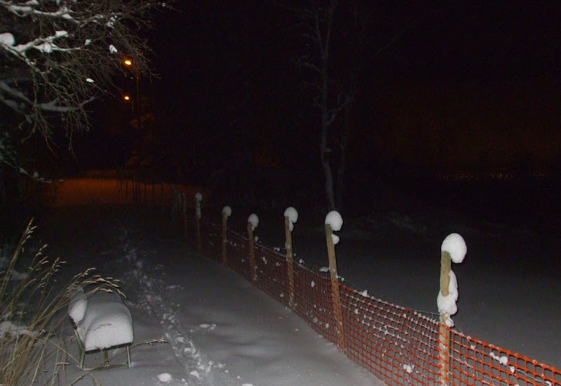 DSCF3817.JPG
