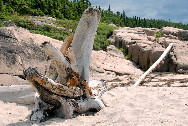bois,wood,plage,beach