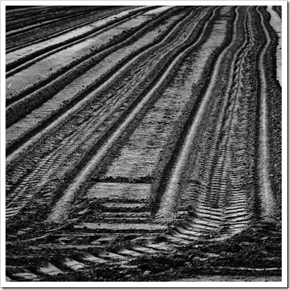 _DS71930w _DS71930w