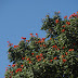 PC060297.JPG