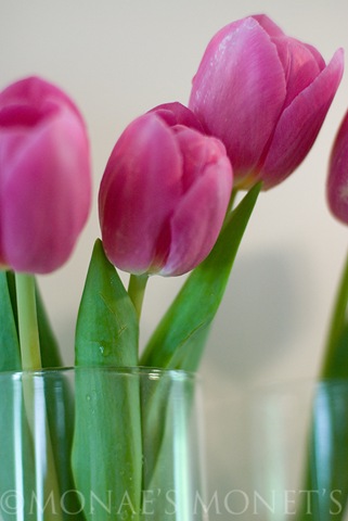 [Tulips in vase 1[5].jpg]