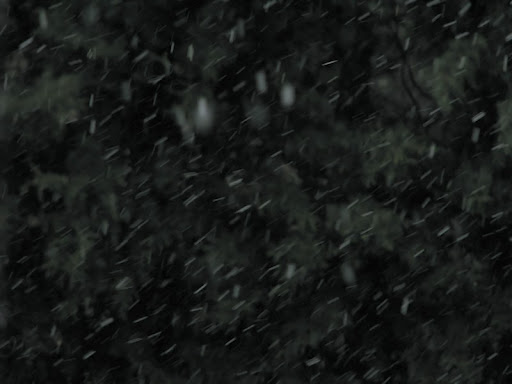 comment photographier la pluie IMG_0053
