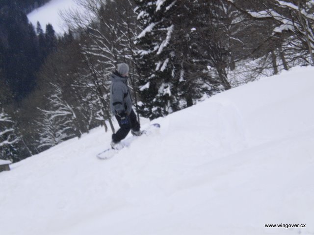 ... a šup do lesa