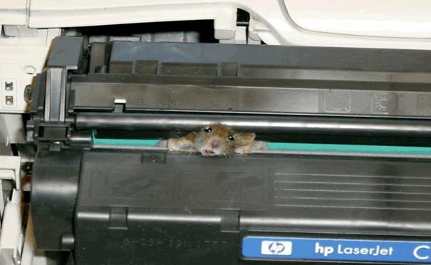 [toner-mouse[2].jpg]