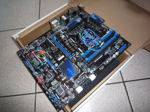 http://lh6.ggpht.com/_WUEHKBccJDk/TSSYW7uaTpI/AAAAAAAAAyU/Kov36EDO0vw/s512/P1020955.JPG