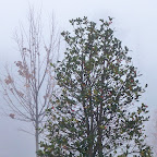 100_0283.JPG
