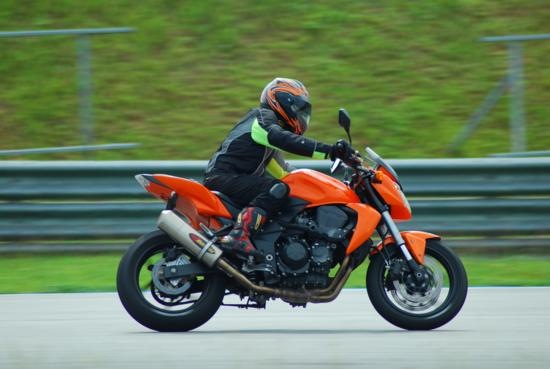 [DSC_0464_550x369[2].jpg]