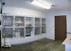 Our kitty kennel area allows our cat patients to be separated from the dog patients.
