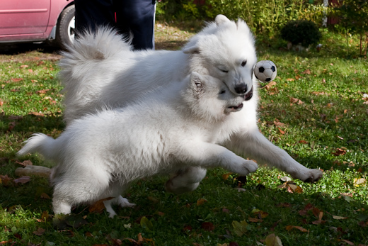 20091010-IMG_1674.jpg