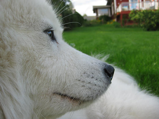 20090830-IMG_0581.jpg